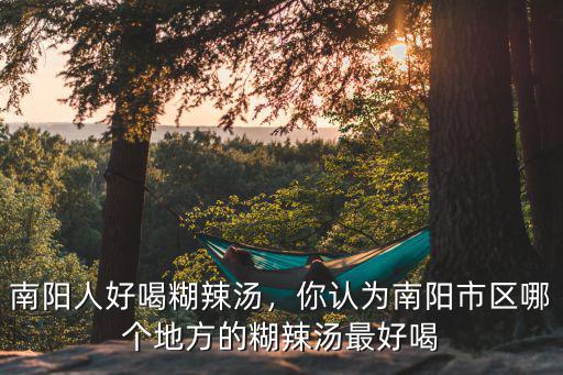 南陽人好喝糊辣湯，你認為南陽市區哪個地方的糊辣湯最好喝