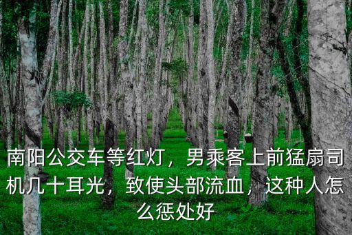 南陽市等紅燈打電話怎么處罰,等紅燈時打電話算違章嗎