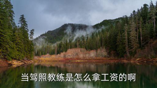 當駕照教練是怎么拿工資的啊