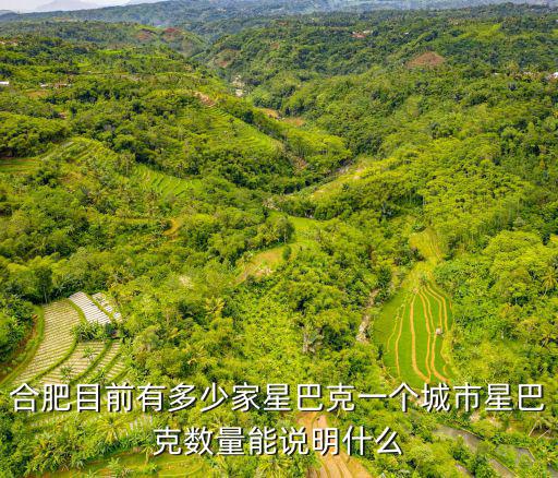 合肥目前有多少家星巴克一個城市星巴克數量能說明什么