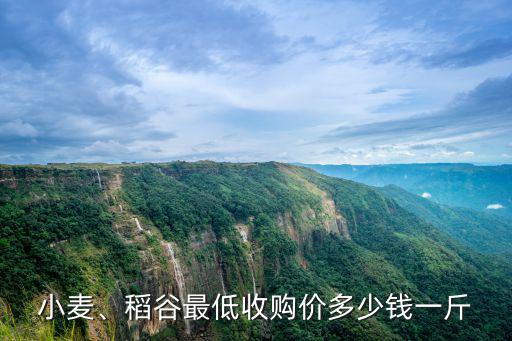 小麥、稻谷最低收購價多少錢一斤