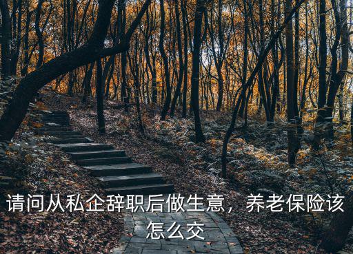 南陽做生意的怎么交養老金合適,想自己交養老金