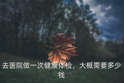 去醫院做一次健康體檢，大概需要多少錢