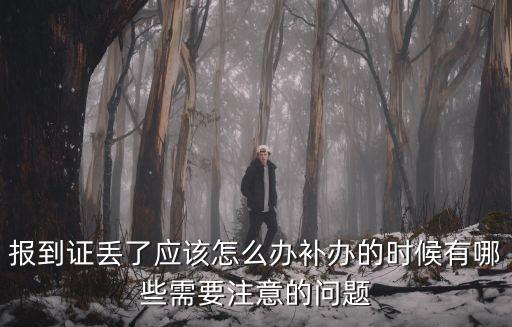 河南省報到證丟失怎么辦,報到證丟了怎么辦