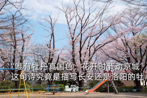 有多少詩描寫洛陽,描寫洛陽的詩詞有哪些
