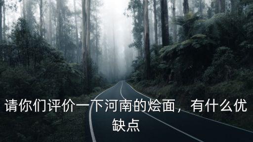 請你們評價一下河南的燴面，有什么優缺點