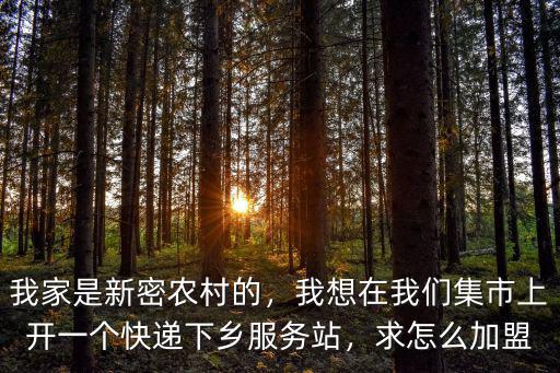 在鄭州有個快遞站點怎么加盟,加盟快遞快遞站點