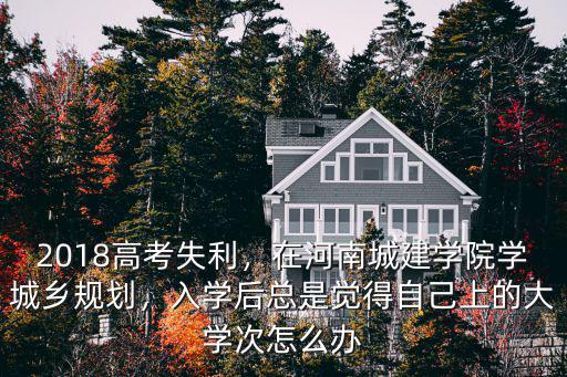 2018高考失利，在河南城建學(xué)院學(xué)城鄉(xiāng)規(guī)劃，入學(xué)后總是覺得自己上的大學(xué)次怎么辦