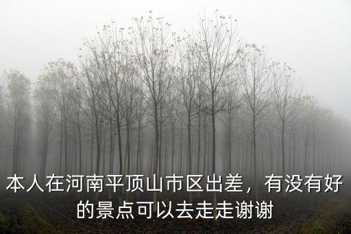 本人在河南平頂山市區(qū)出差，有沒有好的景點(diǎn)可以去走走謝謝