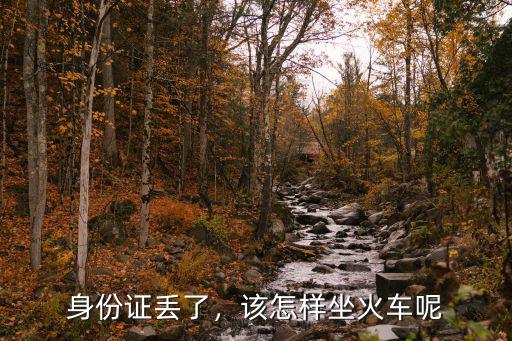 身份證丟了，該怎樣坐火車(chē)呢