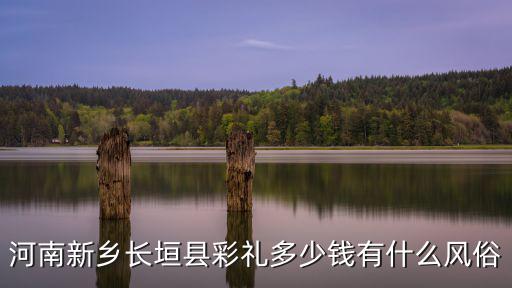 新鄉南太公酒多少錢,河南新鄉長垣縣彩禮多少錢