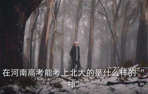 在河南高考能考上北大的是什么樣的“神”