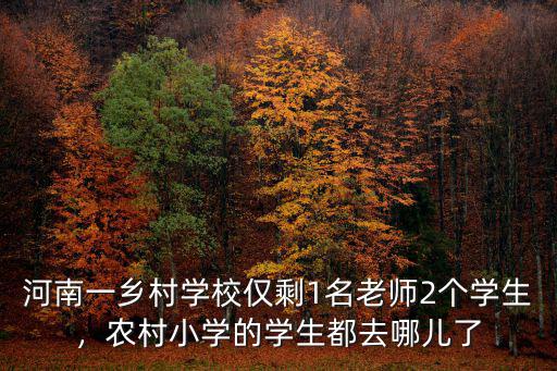 河南一鄉村學校僅剩1名老師2個學生，農村小學的學生都去哪兒了