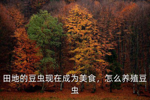豆蟲在河南怎么養,怎么養殖豆蟲