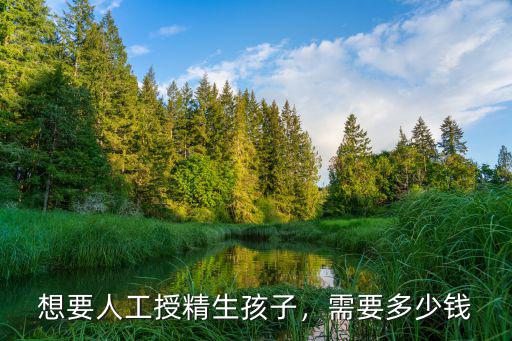 想要人工授精生孩子，需要多少錢