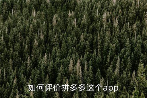 如何評價拼多多這個app