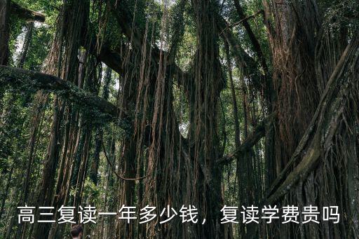 南陽博文學校復讀生學費多少錢,高三復讀一年多少錢