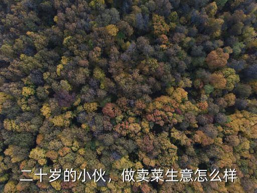 焦作做蔬菜生意怎么樣,現(xiàn)在做蔬菜生意怎么樣