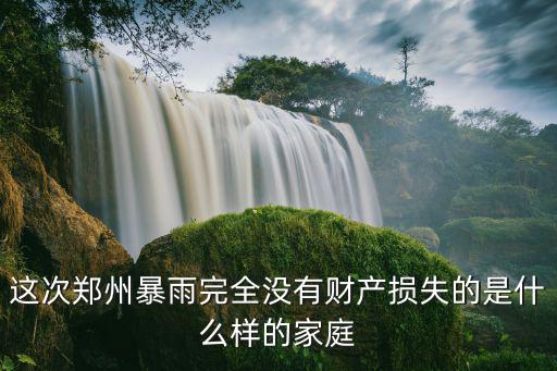 這次鄭州暴雨完全沒有財產損失的是什么樣的家庭