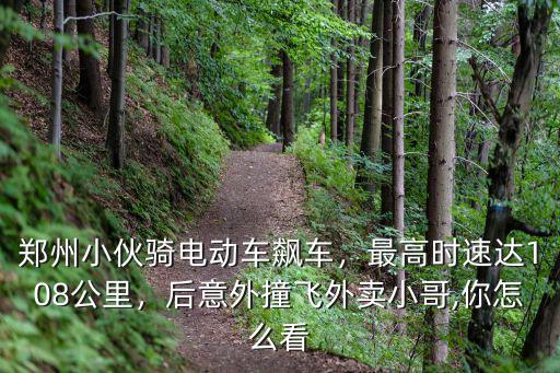 鄭州小伙騎電動車飆車，最高時速達(dá)108公里，后意外撞飛外賣小哥,你怎么看