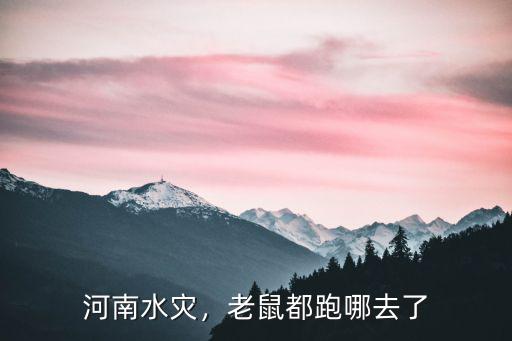 河南水災，老鼠都跑哪去了