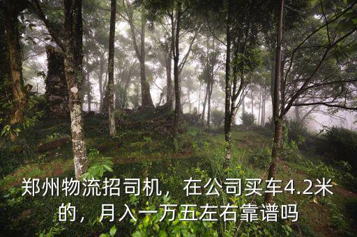 鄭州物流公司當(dāng)司機(jī)怎么樣,鄭州物流招司機(jī)