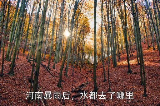 河南暴雨哪里大雨,為什么河南暴雨被淹