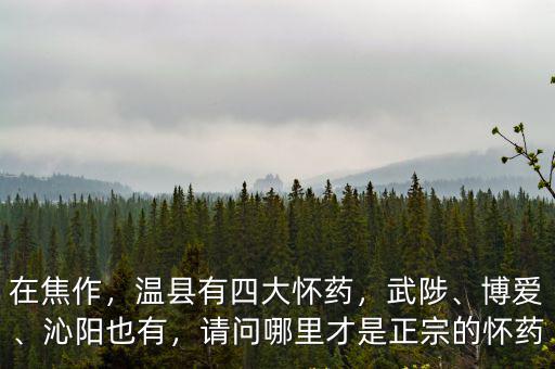 焦作 溫縣是屬于哪里的,請問哪里才是正宗的懷藥