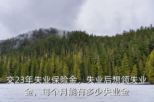 新鄉失業保險金有多少,交23年失業保險金