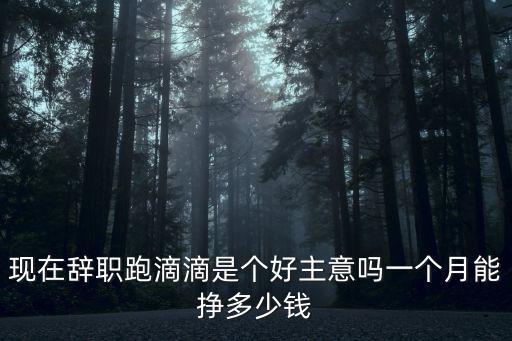 現在辭職跑滴滴是個好主意嗎一個月能掙多少錢