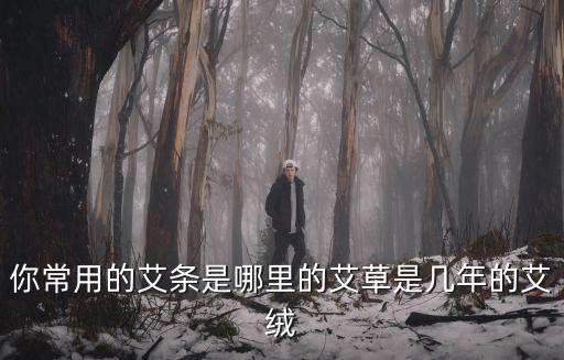 你常用的艾條是哪里的艾草是幾年的艾絨