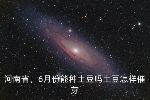 河南賣土豆怎么樣,農村土豆一斤五毛錢不好賣