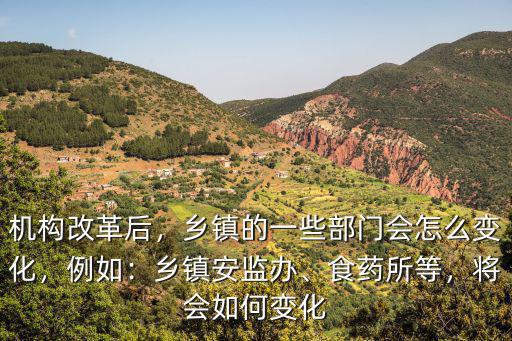 機構改革后，鄉鎮的一些部門會怎么變化，例如：鄉鎮安監辦、食藥所等，將會如何變化
