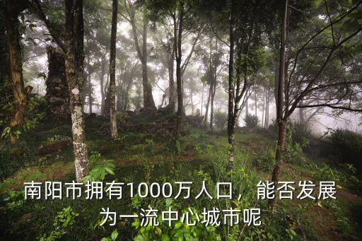 南陽市食品工業發展中心怎么樣,能否發展為一流中心城市呢