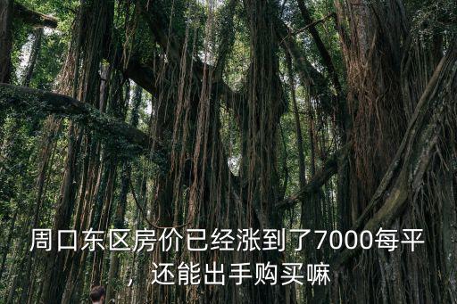 周口東區房價已經漲到了7000每平，還能出手購買嘛