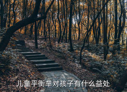 兒童平衡車對孩子有什么益處