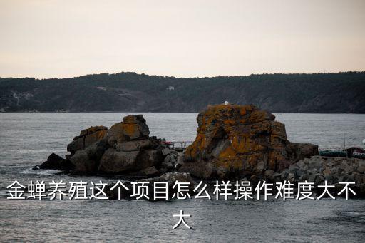 許昌養(yǎng)殖金蟬怎么樣,金蟬的養(yǎng)殖前景怎么樣