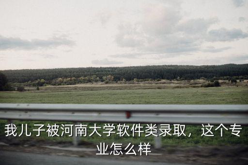 我兒子被河南大學軟件類錄取，這個專業怎么樣