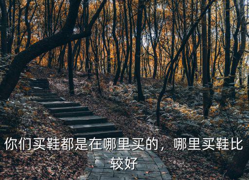 你們買鞋都是在哪里買的，哪里買鞋比較好