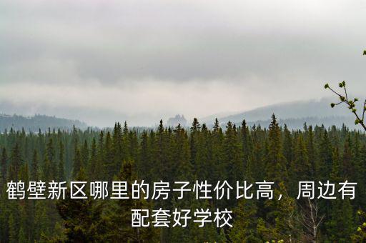 鶴壁新區(qū)哪里的房子性價(jià)比高，周邊有配套好學(xué)校