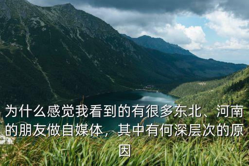河南省做自媒體有多少人,河南的朋友做自媒體