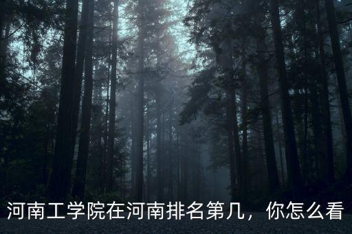 河南工學院在河南排名第幾，你怎么看