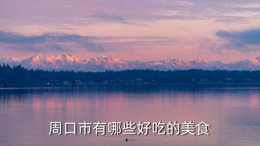 周口市有哪些好吃的美食