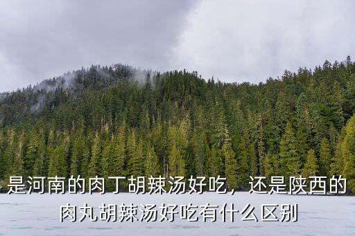 是河南的肉丁胡辣湯好吃，還是陜西的肉丸胡辣湯好吃有什么區別