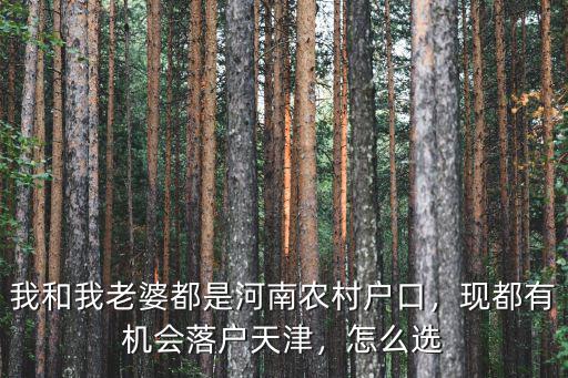 我和我老婆都是河南農村戶口，現都有機會落戶天津，怎么選