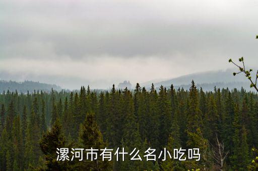 漯河市哪里有好吃的羊肉湯,漯河有什么好吃的地方