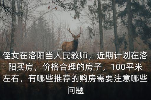 侄女在洛陽當人民教師，近期計劃在洛陽買房，價格合理的房子，100平米左右，有哪些推薦的購房需要注意哪些問題