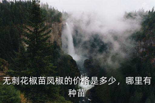 南陽市哪里有賣花椒樹苗的,在哪里可以買到花椒樹苗