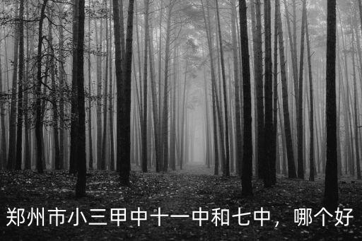 鄭州十一中中招錄取分多少,非鄭州市中學籍450分