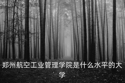 鄭州航空工業管理學院是什么水平的大學
